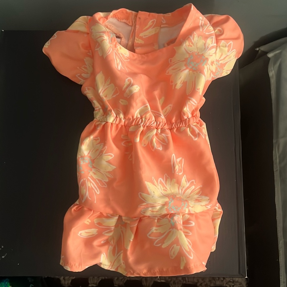 Size XS dog dress. Never worn didn’t fit my dog.